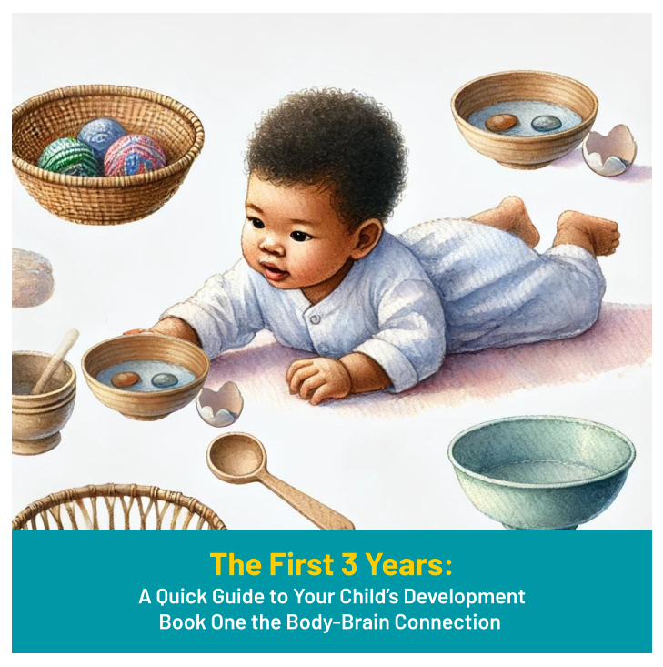 The First 3 Years:  A Quick Guide to Your Child’s Development   Book One the Body-Brain Connection